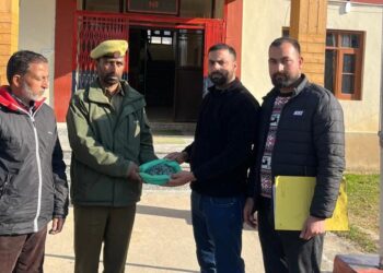 Antique coins recovered from Pinglish Tral: Police