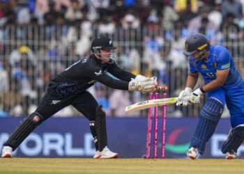 New Zealand openers Seifert, Allen blow UAE away with record-breaking stand in T20 World Cup