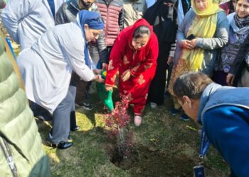 Sakeena Itoo plants saplings at Ganderbal Hospital under Kayakalp, NQAS