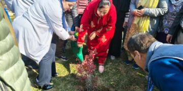 Sakeena Itoo plants saplings at Ganderbal Hospital under Kayakalp, NQAS