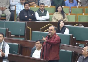 BJP leader clarifies remarks amid uproar in LA