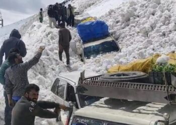7 killed, 5 injured as avalanches hit Srinagar-Leh national highway