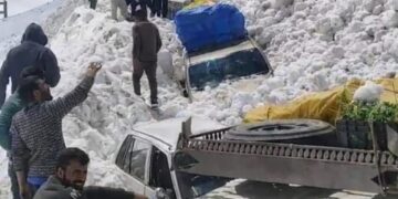 7 killed, 5 injured as avalanches hit Srinagar-Leh national highway