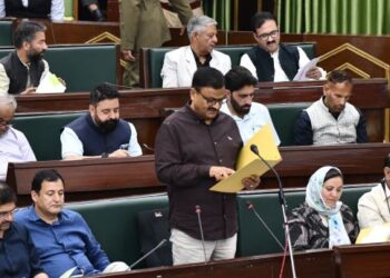 Wildlife deptt taking measures to tackle human-wild boar conflict: Javed Rana