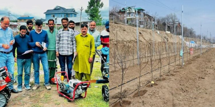 Shopian gets push in farm mechanization, high-density plantation