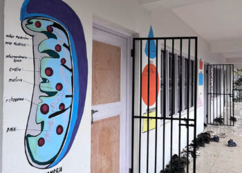 When Walls Begin to Teach: A New Learning Tool in our schools