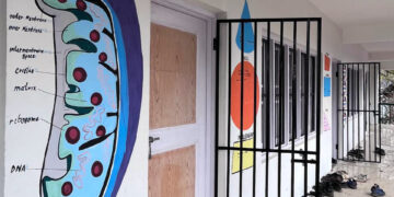 When Walls Begin to Teach: A New Learning Tool in our schools