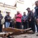 L-G Vinai Kumar Saxena inspects Leh Main Market and heritage areas