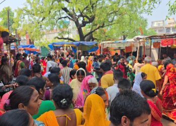    Eight devotees killed, eight injured in stampede at temple in Bihar, SHO suspended