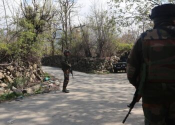 Local terrorist killed in night-long operation in Ganderbal: Army