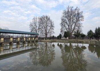 Driver killed after auto plunges into nallah Ningli in Veer Panzipora