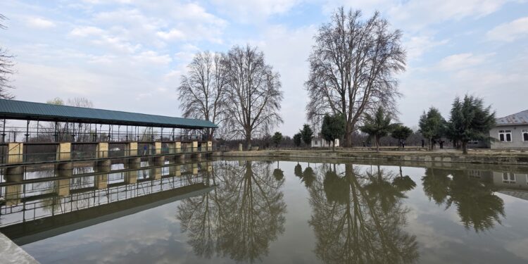 Driver killed after auto plunges into nallah Ningli in Veer Panzipora