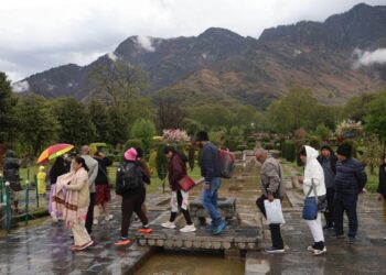 Higher reaches get fresh snowfall, rains lash plains in Kashmir