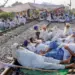 Farmer unions defer ‘rail roko’ in Punjab as govt assures relaxing wheat procurement norms