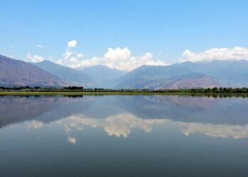 Wular Lake conservation restores 5 sq km area, 1.31 lakh trees removed in J&K