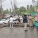 Journalist injured after rotten tree falls on him in Tangmarg