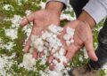 Hailstorms damage orchards, crops across Kashmir