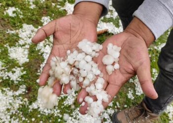Hailstorms damage orchards, crops across Kashmir