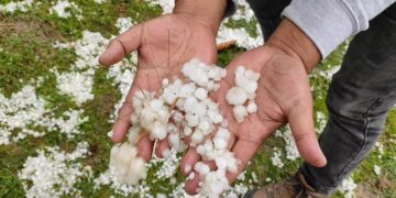 Hailstorms damage orchards, crops across Kashmir