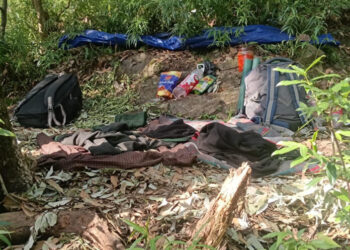 Hideout busted, search under Operation Sheruwali enters third day in Rajouri