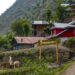 Sentinels of Simari: One year after Sindoor, villagers try to reclaim narrative of normalcy