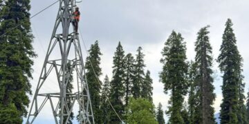 Deadly Disaster Defeated in Gulmarg