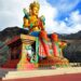 Where the Buddha Comes Home