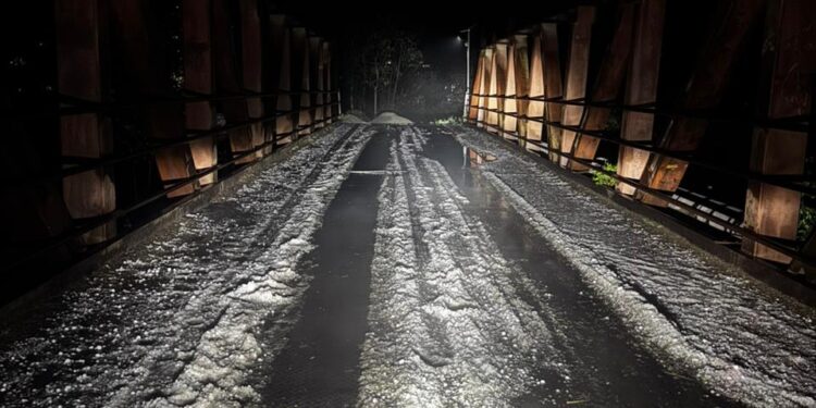 Hailstorm damages orchards, crops across Baramulla