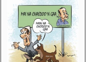 Cartoon