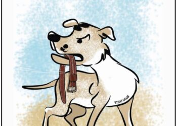 Cartoon