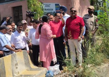 Deputy CM reviews Jeevan Nagar Bridge project, Mubarak Mandi restoration works