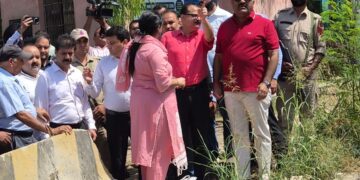 Deputy CM reviews Jeevan Nagar Bridge project, Mubarak Mandi restoration works