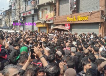 LG Manoj Sinha Joins Ashura Procession at Zadibal, Offers Chaddar to Zuljinah