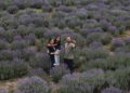 Lavender Selfie