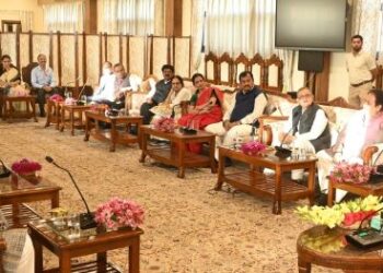 Par panel on external affairs calls on LG, CM