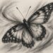    The Butterfly