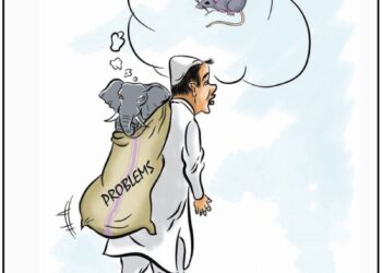 Cartoon
