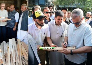 CM assures govt support to safeguard Kashmir’s cricket bat industry