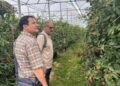 J&K delegation explores European horticulture models to boost productivity