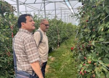 J&K delegation explores European horticulture models to boost productivity