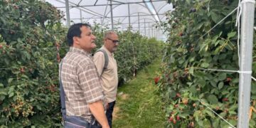 J&K delegation explores European horticulture models to boost productivity