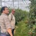 J&K delegation explores European horticulture models to boost productivity
