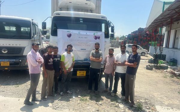 First shipment of premium Kashmir cherries, plums exported to Singapore