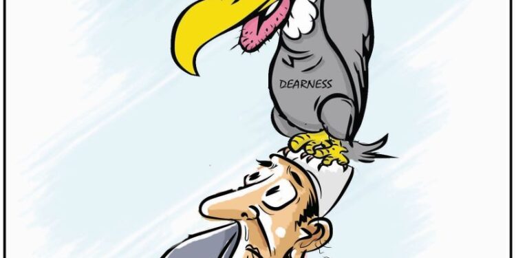 Cartoon