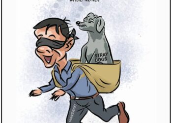 Cartoon