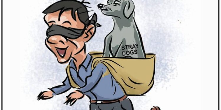 Cartoon