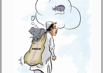 Cartoon