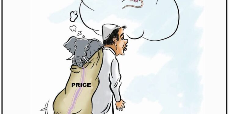 Cartoon