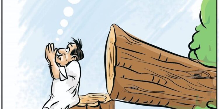 Cartoon