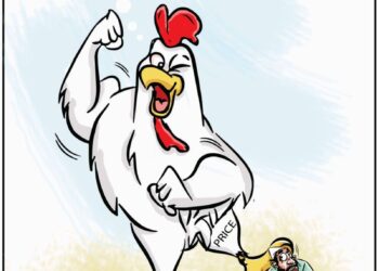 Cartoon